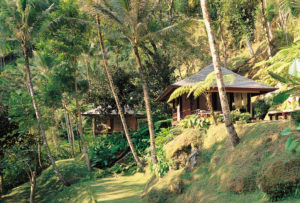 Two bales or roofed and decked private spaces are seen secluded amongst the foliage and hills of the Como Shambhala estate
